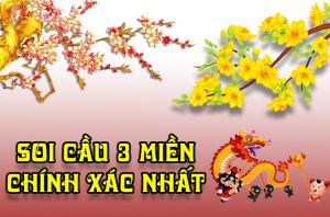 bạch thủ lô 2 nháy miền bắc
